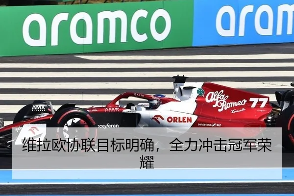 维拉欧协联目标明确，全力冲击冠军荣耀